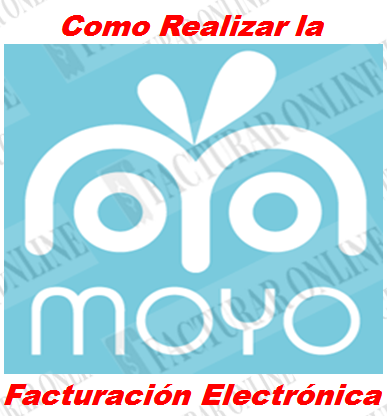 Facturación heladeria Moyo